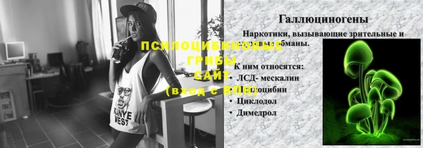 ешки Дмитровск