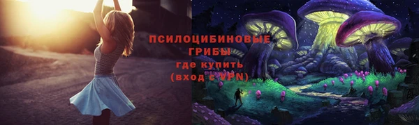 ешки Дмитровск