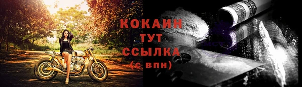 ешки Дмитровск