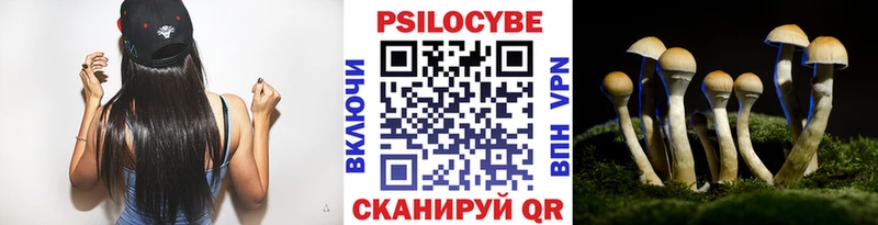 Купить где  Красноперекопск  Псилоцибиновые грибы Cubensis 